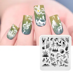 Personality Design Nail Art Stamp Polish Stamping Plates For Beauty Nails