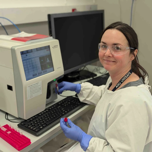 عداد خلايا الدم البيطرية من 5 أجزاء لاستخدام مختبر عيادة الحيوانات - Product Image 5