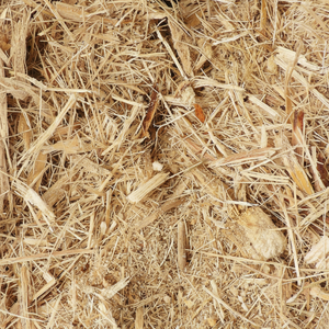 100% ธรรมชาติจากอ้อยเวียดนาม สำหรับการส่งออก ปี 2025 - Product Image 1