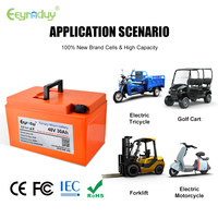 Baterai Lithium NCM 18650 OEM 20-60Ah Multi Kapasitas 48V, Bersertifikasi CE RoHS, Tahan Suhu Luas untuk Sanitasi Taman & Robot AGV Sedang
