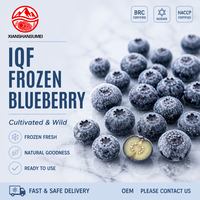 Blueberry Beku Utuh IQF, Buah Liar Kelas A Standar Ekspor, Kemurnian Tinggi, Pasokan Besar