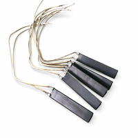 Allumeur de poêle à granulés en céramique de nitrure de silicium 110V 120V 220V 240V 400-650W pour brûleur à paille