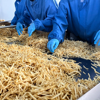Nuevas Tendencias: Palitos de Patata Fritos Salados Suaves Mini, Listos para Comer, Bajos en Grasa, Saludables para Reuniones