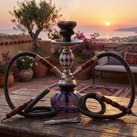 Offre Spéciale : Ensemble Chicha en Verre Style Miroir Arabe de Haute Qualité, Double Tuyau, Portable pour Voyage