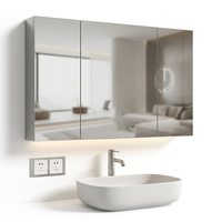 Armoire de salle de bain en acier inoxydable à deux portes avec éclairage LED ambiant inférieur, murale, pour la décoration murale de salle de bain d'appartement