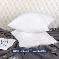 Coussins décoratifs d'intérieur 16 x 16 pouces carrés, hypoallergéniques, en polyester, insert de coussin