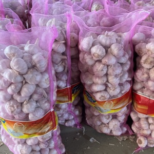 Trung quốc tỏi tươi nhà cung cấp hot giá thị trường xuất khẩu ai cập 6.0cm 10kg mỗi túi - Product Image 2