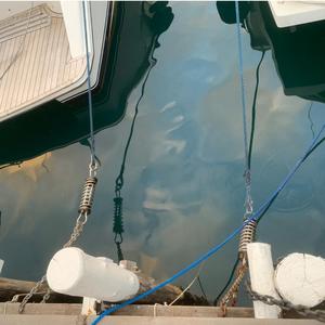Ressort silencieux de ressort d'amarrage de ligne de quai d'ancre de <span class=keywords><strong>bateau</strong></span> d'acier inoxydable, matériel marin <span class=keywords><strong>pour</strong></span> des bateaux Yachts Kayak - Product Image 5