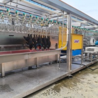 Équipement mobile d'abattage de poulets 500BPH, un ensemble complet de lignes d'abattage de poulets automatisées pour les petites abattoirs
