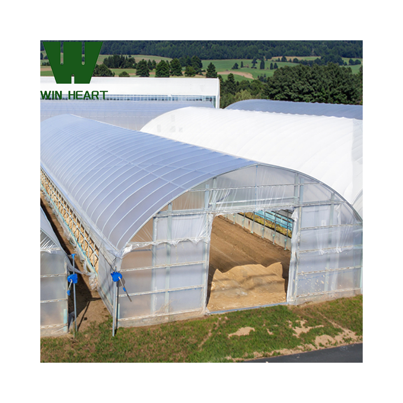 Single Span Greenhouses with Poly-Tunnels Aquaponics Vegetable Aquaculture Equipment for Growing Green Vegetables