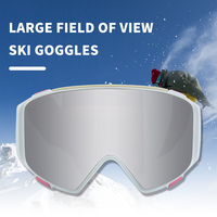 ODM OEM – lunettes de Snowboard Anti-buée pour adultes, personnalisées, double lentille, lunettes de Ski magnétiques coupe-vent