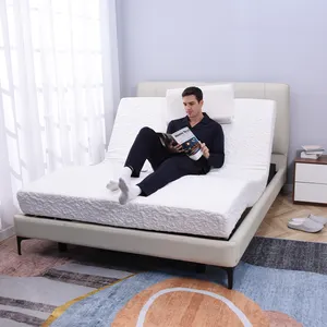 Tecforcare sofa elektrik multifungsi, tempat tidur listrik ukuran queen pintar bingkai dapat disesuaikan untuk kamar tidur ruang tamu