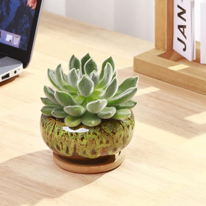 Petits pots en céramique de porcelaine émaillée au four, <span class=keywords><strong>mini</strong></span> pots pour <span class=keywords><strong>plantes</strong></span> <span class=keywords><strong>succulentes</strong></span>, pots à fleurs avec trou de drainage pour la maison, le bureau, le jardin, le bureau - Product Image 4