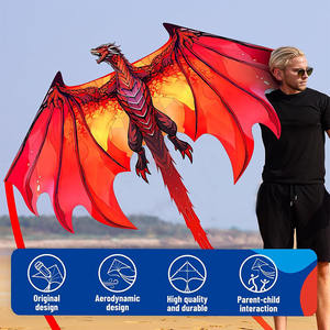 Cerfs-volants <span class=keywords><strong>Dragon</strong></span> en stock pour enfants et adultes, faciles à piloter, grands cerfs-volants pour le plaisir en extérieur, en tissu Ripstop durable, jouet de plage et de parc pour enfants - Product Image 5