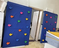 Precio de fábrica Niños Parkour Entrenamiento Deflector Equipo Escalada y salto Entrenamiento Escalada Pared para niños