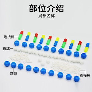 Modelo de ensamblaje de componentes de la estructura de la doble hélice del ADN; modelo de estructura del ADN; modelo genético; pequeño experimento biológico. - Product Image 3