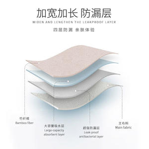 Ropa Interior Menstrual Anti-Fugas de Alta Calidad, Talla Grande para Mujer, Estilo Diario, Logotipo Personalizado en la Cintura - Product Image 4