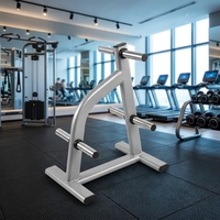 Support pour plaques de poids avec plusieurs emplacements de rangement, en acier massif, design peu encombrant pour le rangement des plaques de poids à la maison et en salle de sport.