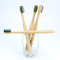 Brosse à dents en bambou biodégradable populaire avec des poils souples coniques de couleur Brosse à dents écologique Bord lisse