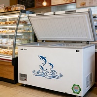 Congélateur coffre solaire 12V DC/AC à porte unique, ouverture par le haut, compresseur mécanique DC, congélateur à crème glacée, réfrigérateur avec panneau solaire