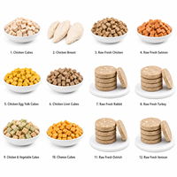 Friandises pour animaux de compagnie OEM ODM, aliments naturels pour animaux, viande crue, poulet, canard, foie, bœuf, saumon sauvage d'Alaska, aliments lyophilisés pour chats et chiens