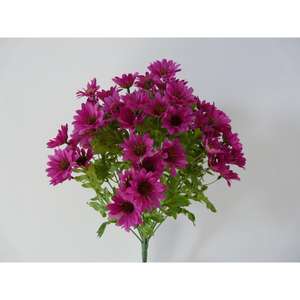 DAISY BUSH X24 45CM BT AUT - Product Image 1
