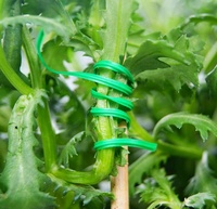 Attaches torsadées pour plantes de jardin CAIJUN, robustes, réutilisables, écologiques, recyclables, en rouleau de fil de 200m/500m