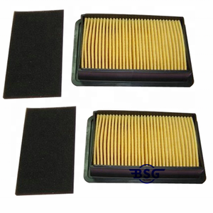 Robin Filter Luftfilter Ersetzt Robin 267-32602-18, 2673260218, 267-32661-18 - Product Image 5