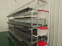 Nouveau système de cages à poules pondeuses de type H en acier inoxydable pour l'élevage avicole, avec collecte automatique des œufs et élevage de poulets de chair