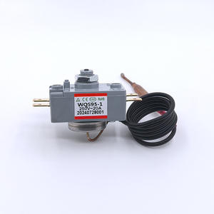 Factory-Customized WQS Bipolar Capillary Thermostat V13967 <b>Electric</b> <b>Water</b> <b>Heater</b> Parts Designed Prevent Dry Burning (97-110C) - Product Image 3
