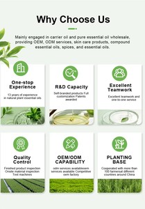 Paquete de 6 aceites esenciales de aromaterapia puros de 10ml, juego de 100% eucalipto Natural, lavanda, hierba de limón, naranja, menta, árbol de té - Product Image 6