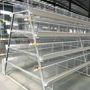 Cages à batterie pour poules pondeuses TBB pour élevage de volailles