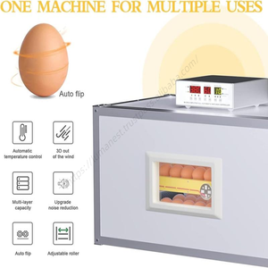 Incubadora Doméstica al por Mayor, Totalmente Automática, Inteligente en Chino e Inglés, para Pollitos Grandes, con Temperatura Constante - Product Image 5
