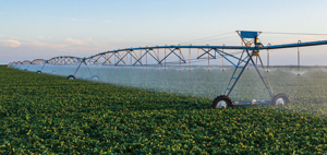 Daringfish 2026 Máquina <span class=keywords><strong>de</strong></span> Riego Agrícola <span class=keywords><strong>de</strong></span> Pivote Central con Esparcidor <span class=keywords><strong>de</strong></span> Fertilizantes - Product Image 4