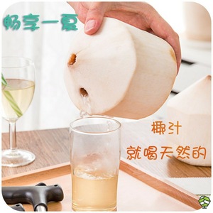 Coconut Opener Stainless Steel Manual <b>Tool</b> For Fresh Coconut Opening Kitchen <b>Fruit</b> <b>Vegetable</b> <b>Tools</b> - Product Image 2