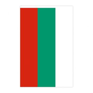 Guirnalda de Banderines con la Bandera de <span class=keywords><strong>Bulgaria</strong></span> de 14*21cm, Diseño de Impresión Digital, para Decoraciones, Venta al Por Mayor - Product Image 2