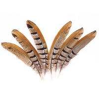 Plumes de queue de faisan Reeves naturelles en gros, 15-20 cm, motif de coiffe indienne, fournisseur brut, marque Xinyuling, Chine, 100