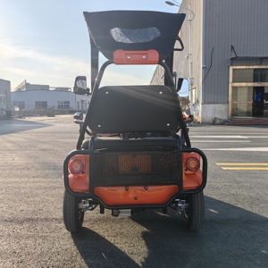 Usine directement adulte extérieur Mini 4 roues Scooter Club Car loisirs 4 places Scooter électrique voiturette de golf - Product Image 4