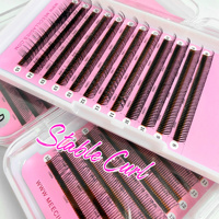Pestañas Postizas Meecil 5D Premade Fans Flower, Extensiones de Pestañas de Fibra PBT Suave, Suministros para Pestañas de Volumen Natural