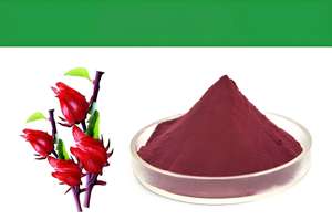 Suda çözünür gıda sınıfı Roselle özü dondurularak kurutulmuş sprey kurutulmuş ebegümeci <span class=keywords><strong>Sabdariffa</strong></span> meyve tozu C vitamini zengin vakum paketlenmiş - Product Image 3