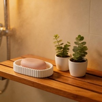 Boîte à Savon Personnalisée Série Rayures Verticales OEM ODM Accessoires de Salle de Bain de Luxe Conteneur à Savon Fabriqué en Usine