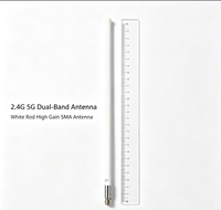 Antenne de station de base extérieure Aurara Yu DP01 WIFI en fibre de verre, double bande 2.4G & 5G, gain élevé 12dBi, connecteur N mâle, montage sur poteau, IP67