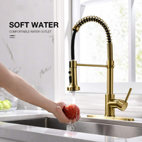 Robinet de cuisine contemporain Laiton Argent Or Flexible Pull Out Spring Robinet de cuisine Pull Down Pulvérisateur Robinets d'évier de cuisine