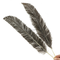 Plumes d'autruche teintes de 24 à 26 pouces, plumes de nandou taillées de 40 à 60 cm pour les costumes et décorations de fête et de carnaval