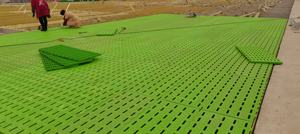 Placa de fugas fecales de plástico <span class=keywords><strong>LFT</strong></span> de alta calidad para palomas/cabras/cerdos/aves de corral/Lofts de aplicación de suelo tablero de fugas fecales - Product Image 5