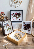 3D Hollow 3/5CM Dried Flower Shadow Box with Detachable Inner Frame DIY butterfly Specimen Storage Display Picture Frame