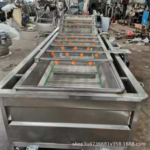 Machine à laver à bulles en acier inoxydable pour usine de transformation des fruits et légumes avec moteur et pompe - Product Image 3