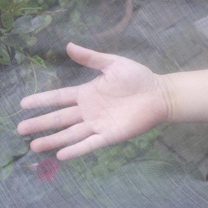 Chất lượng cao nông nghiệp kim loại HDPE nhựa shadecloth Trắng Shade Net bảo vệ côn trùng bằng chứng lưới nhà kính - Product Image 2