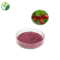 Groothandel 100% natuurlijk gevriesdroogd Miracle Berry fruitpoeder Miracle Fruit Berry poeder wateroplosbaar Miracle Fruit poeder