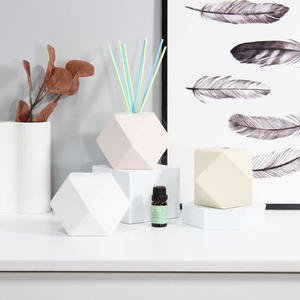 300ml popolare all'ingrosso personalizzato vuoto unico creativo olio aromaterapia reed diffusore bottiglia per la casa - Product Image 2